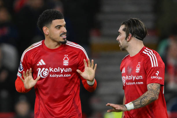 本智和以其 本智和以其