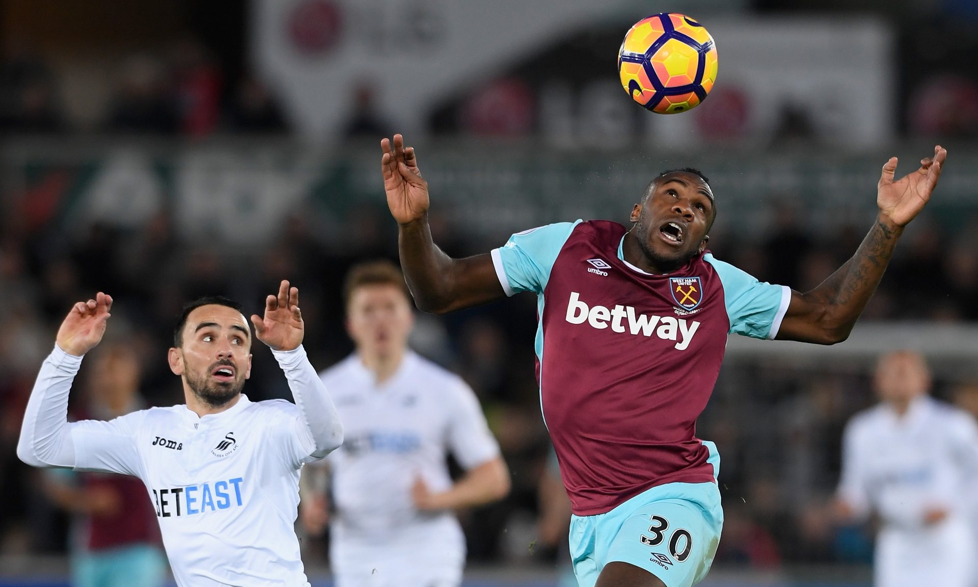 天然林保护 天然林保护